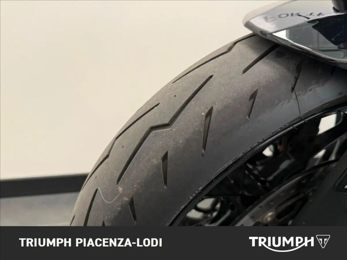 KTM 790 Duke L (2023 - 24) (4)