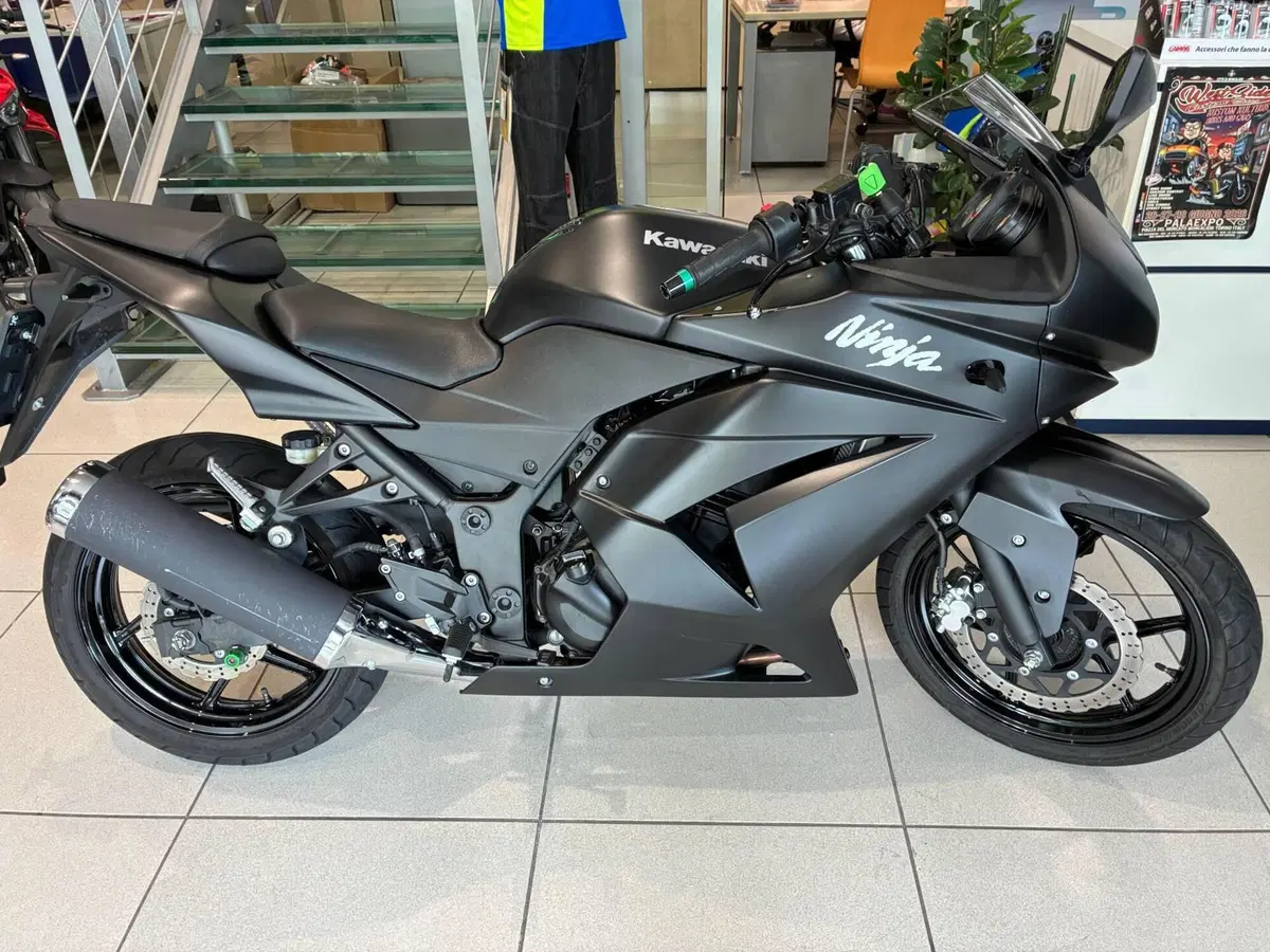 Kawasaki Ninja 250 R (2007 - 13)