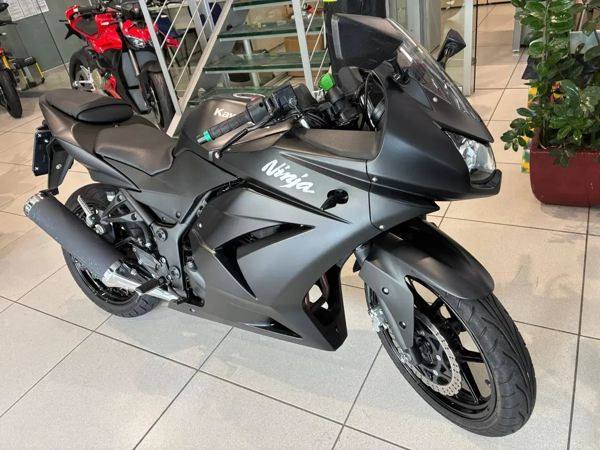 Kawasaki Ninja 250 R (2007 - 13) (2)