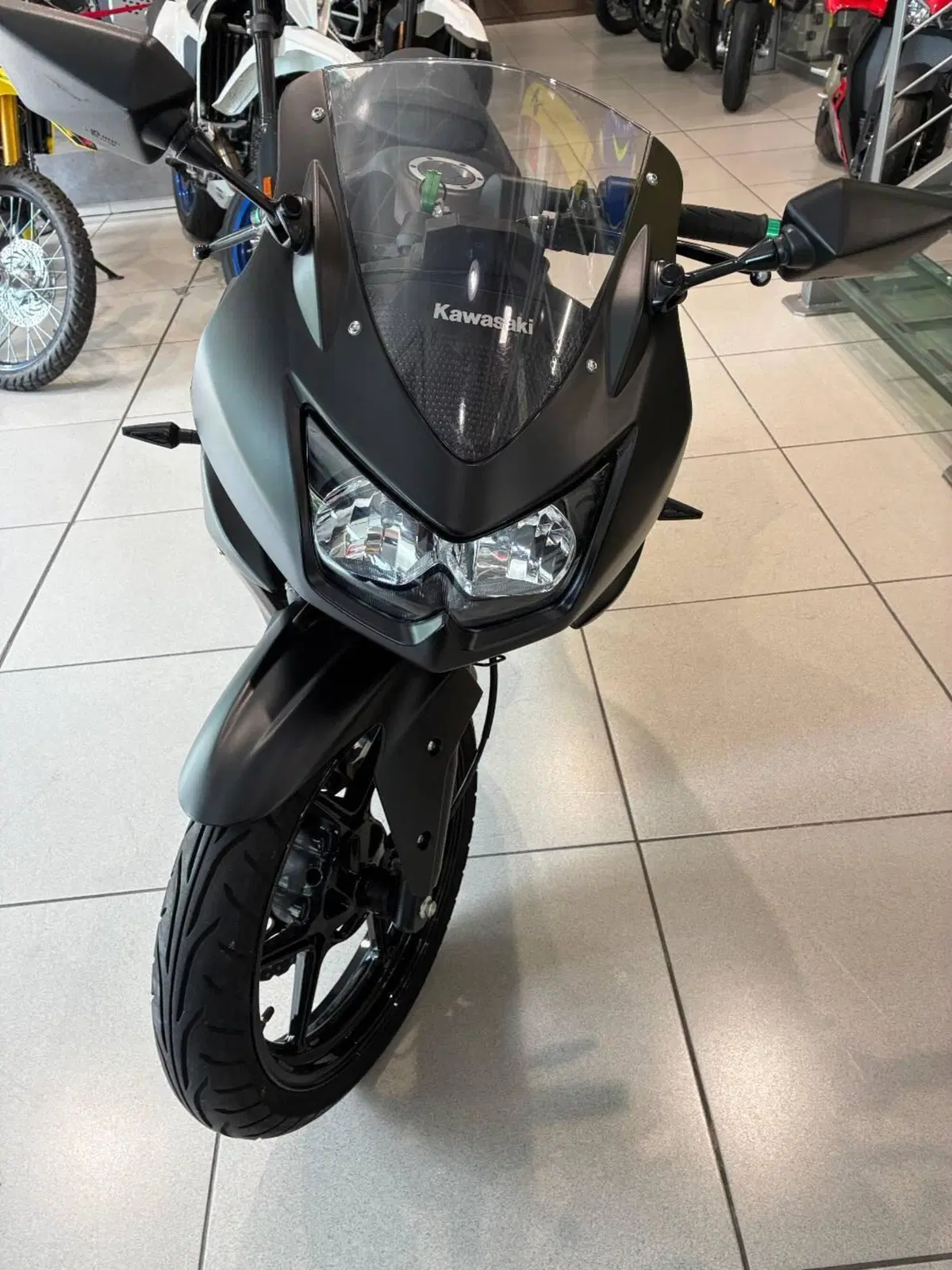 Kawasaki Ninja 250 R (2007 - 13) (3)