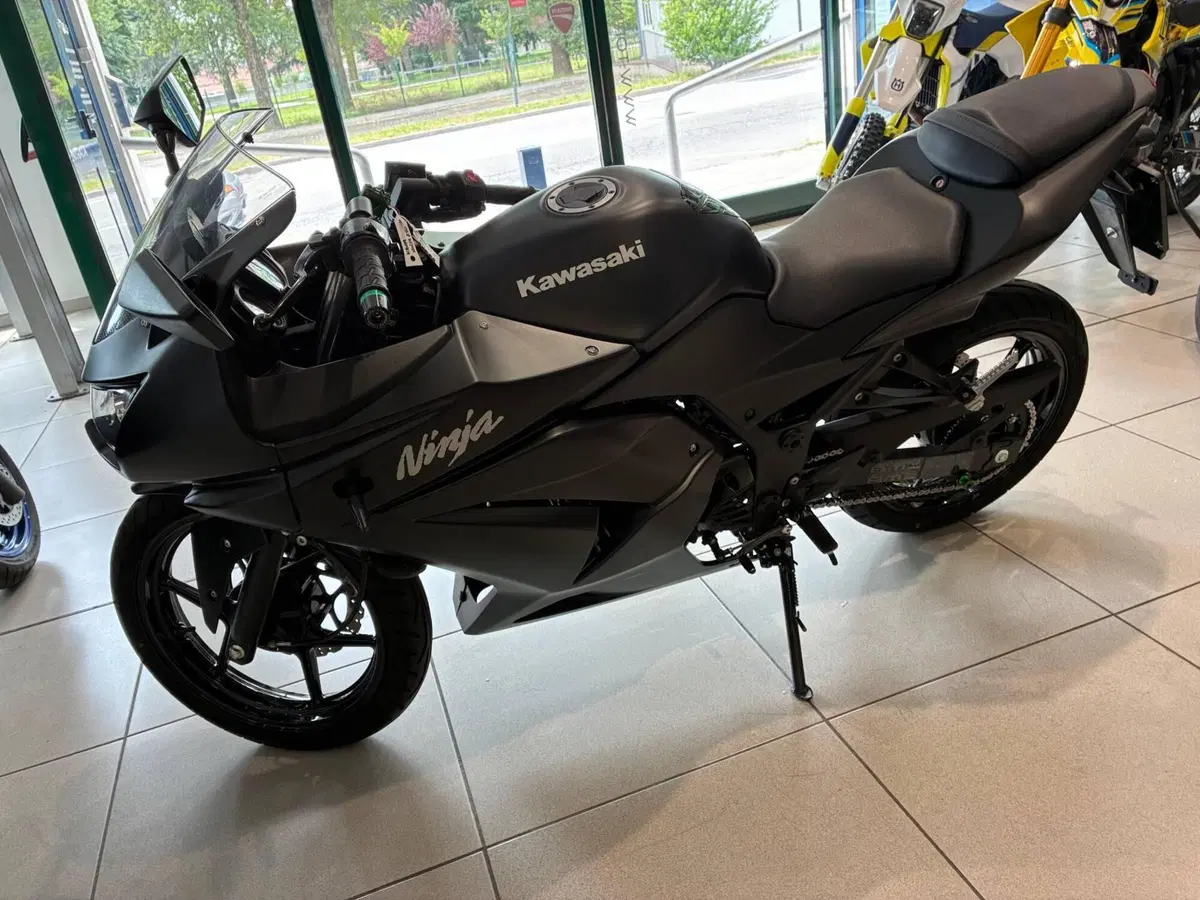 Kawasaki Ninja 250 R (2007 - 13) (9)