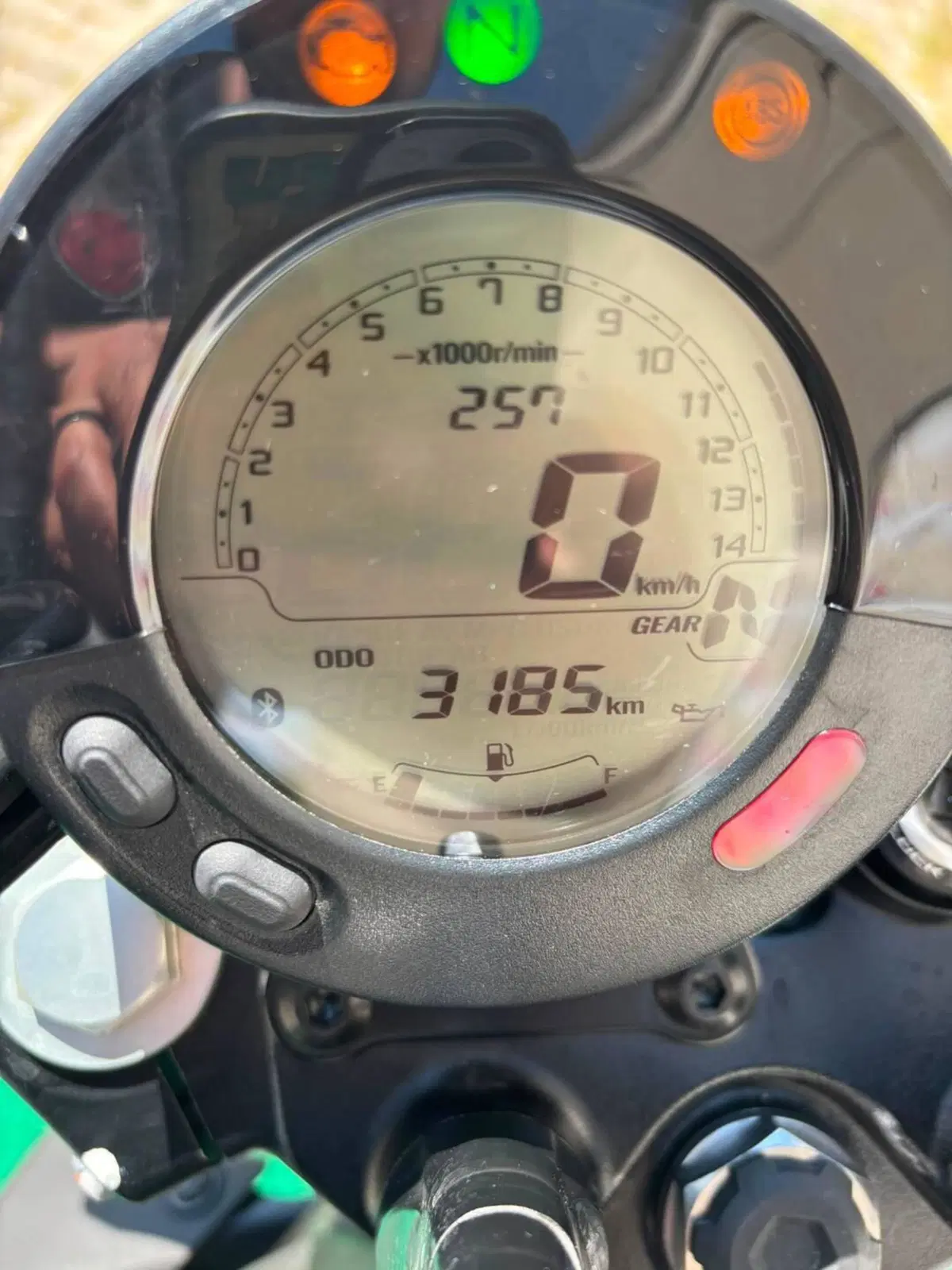Kawasaki Eliminator 500 (2024 - 26) (4)