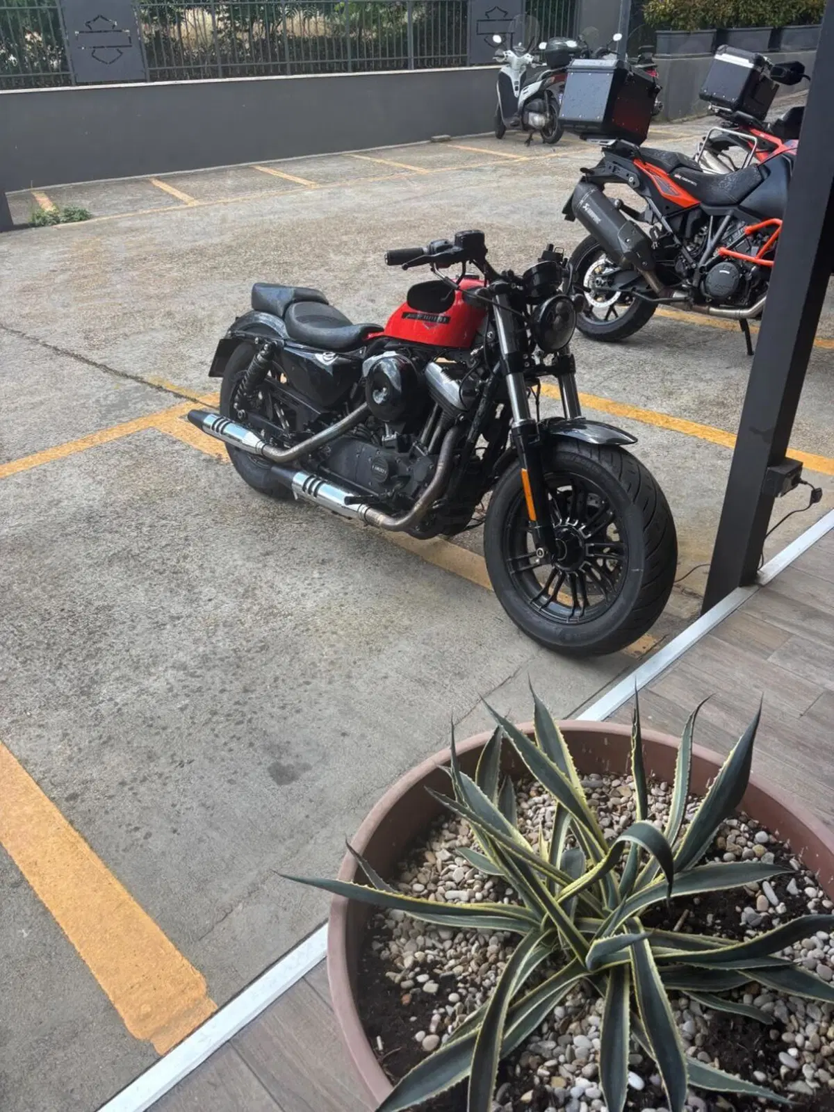 Harley-Davidson 1200 Forty-Eight (2016 - 20) (7)
