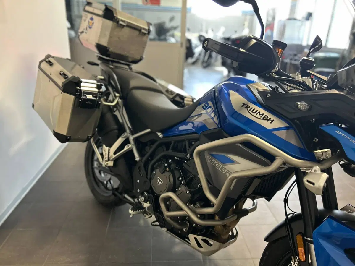 Triumph Tiger 900 GT Pro (2020 - 23) (10)
