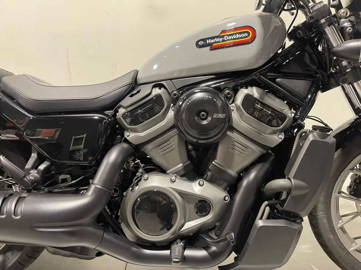 Harley-Davidson Nightster Special (2023 - 26) (4)