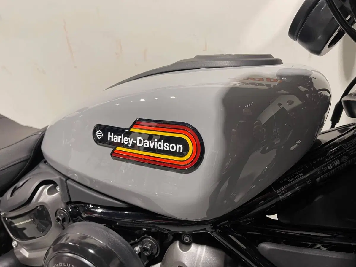 Harley-Davidson Nightster Special (2023 - 26) (5)