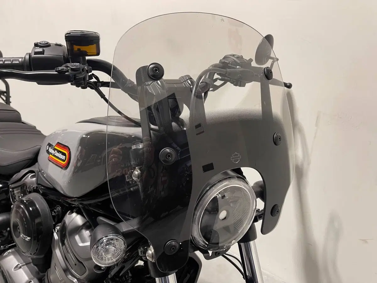 Harley-Davidson Nightster Special (2023 - 26) (6)