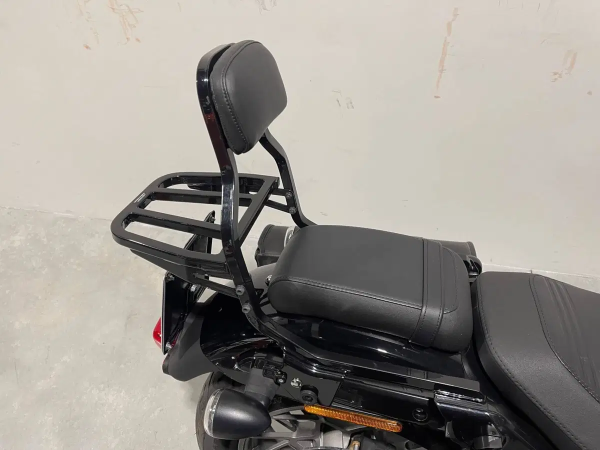 Harley-Davidson Nightster Special (2023 - 26) (7)