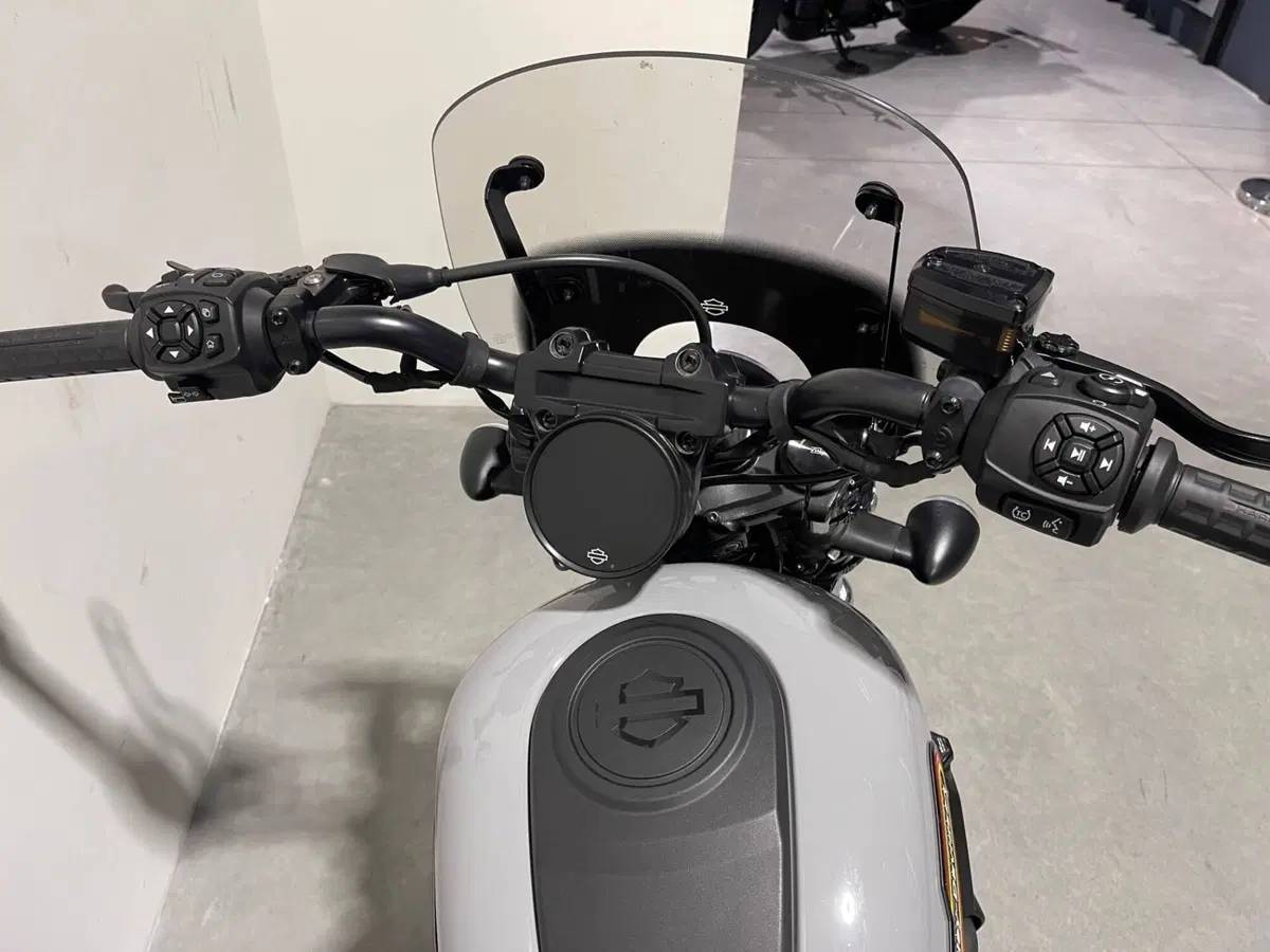 Harley-Davidson Nightster Special (2023 - 26) (8)