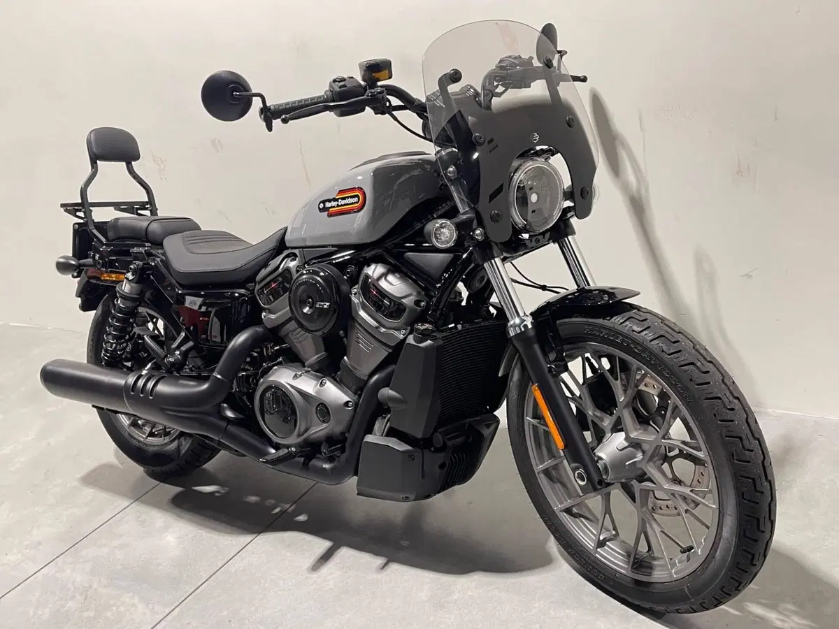 Harley-Davidson Nightster Special (2023 - 26) (9)