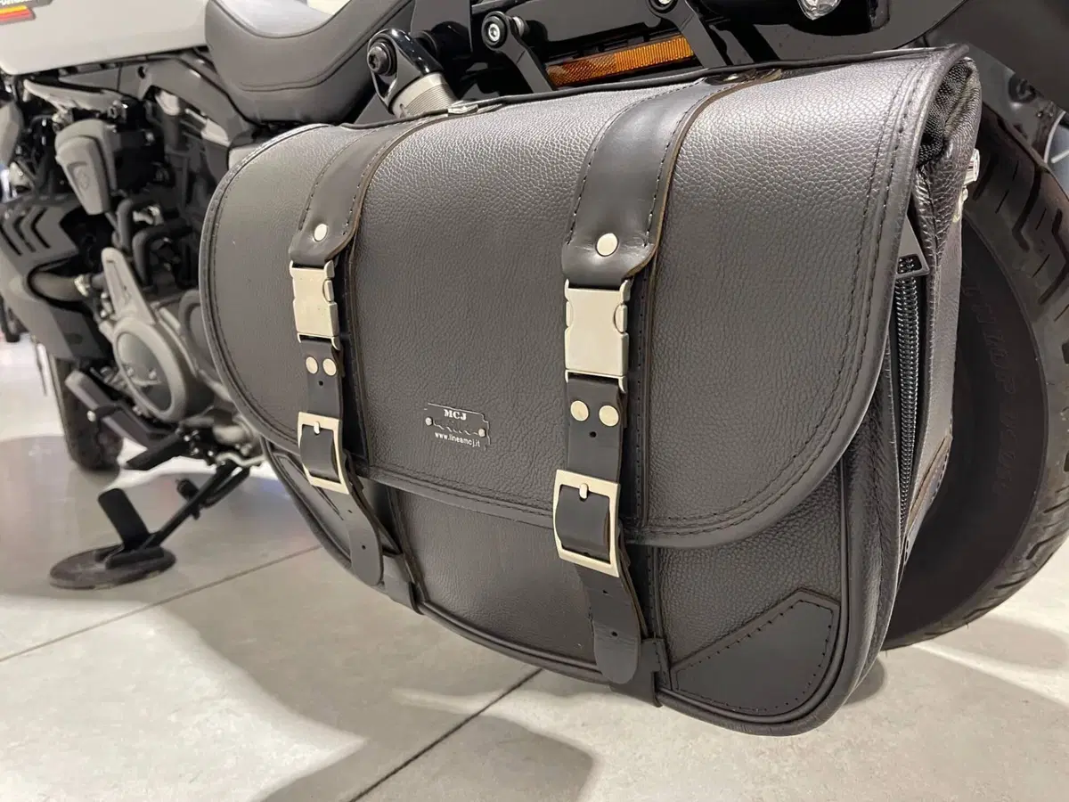 Harley-Davidson Nightster Special (2023 - 26) (10)