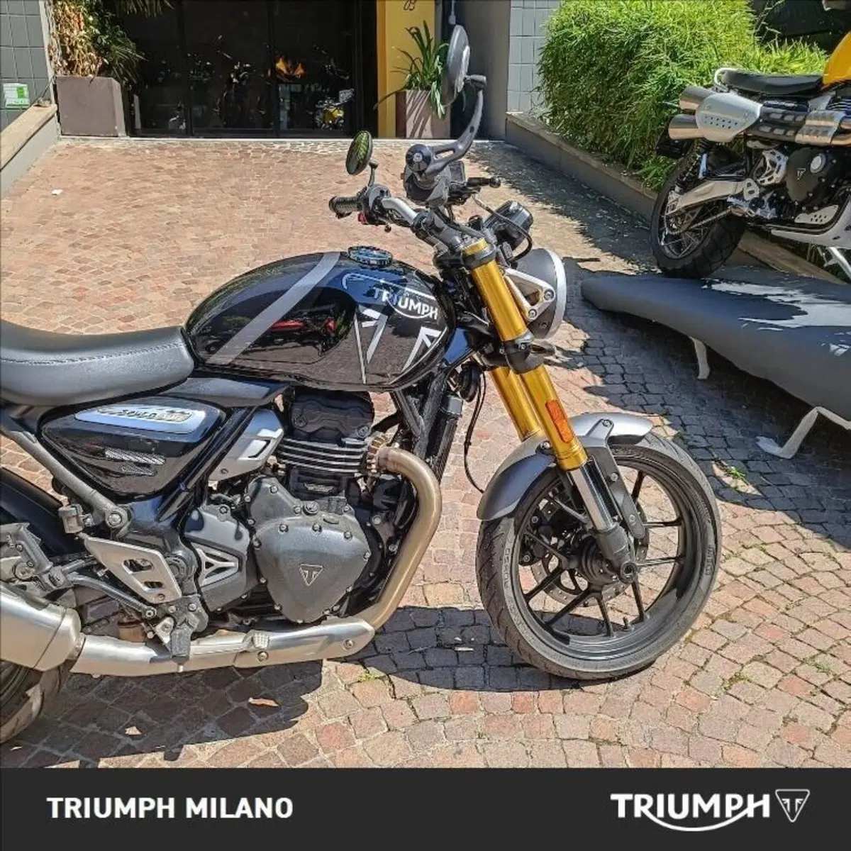 Triumph Speed 400 (2024 - 26) (3)