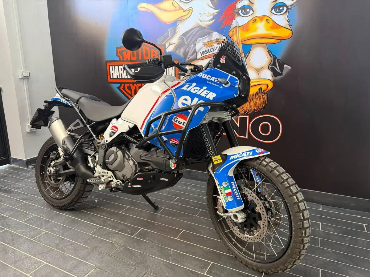 Ducati DesertX (2022 - 25) (3)