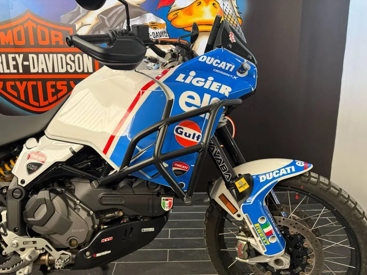 Ducati DesertX (2022 - 25) (6)