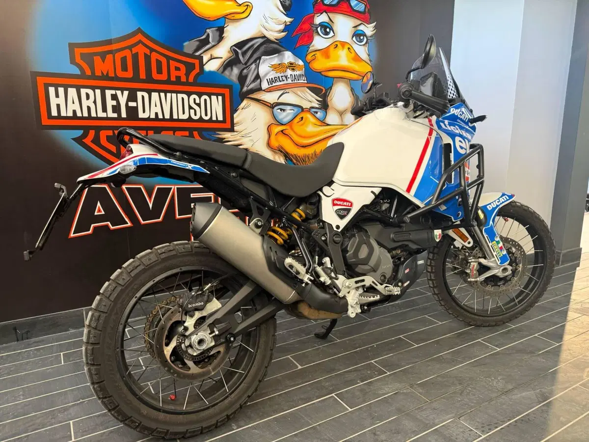 Ducati DesertX (2022 - 25) (7)