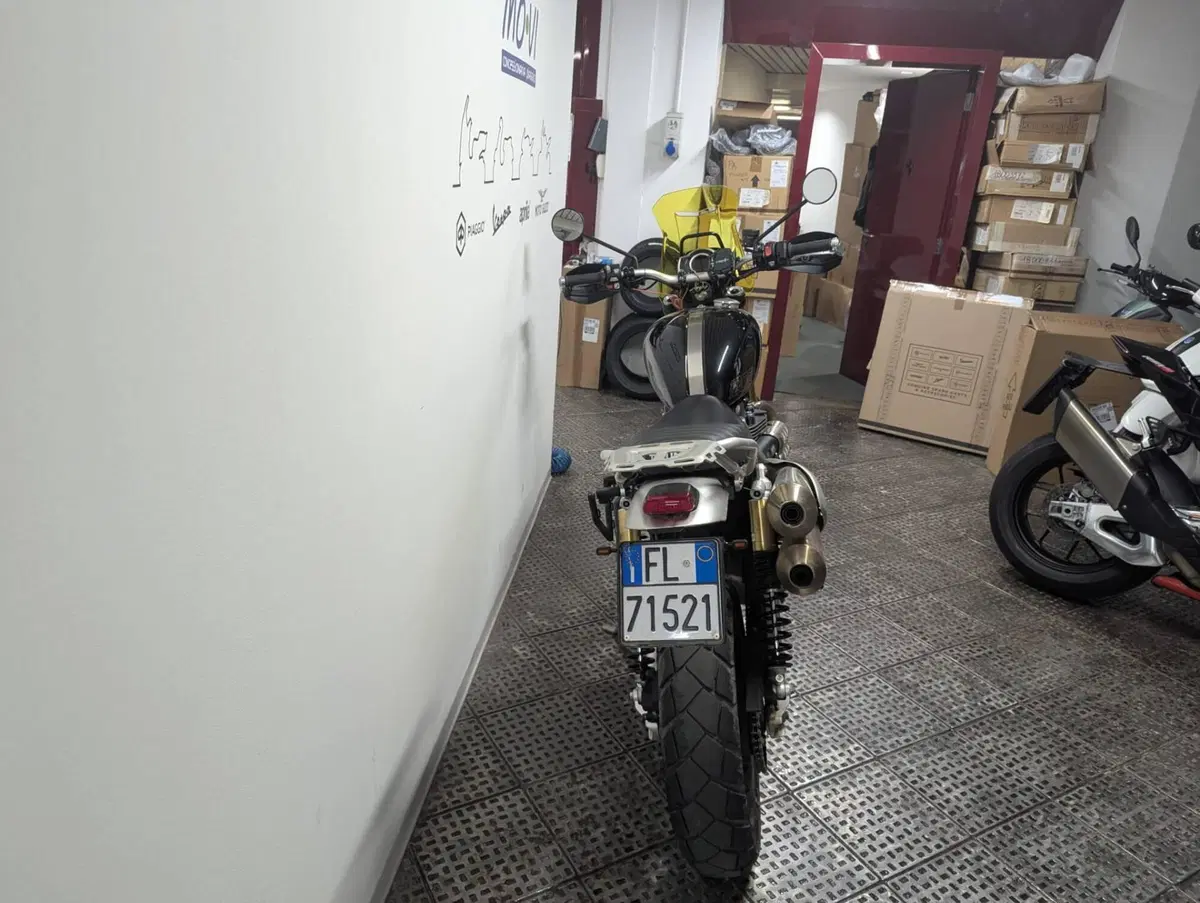 Triumph Scrambler 1200 XE (2024 - 25) (4)
