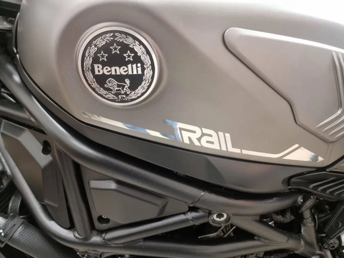 Benelli Leoncino 800 Trail (2022 - 26) (5)