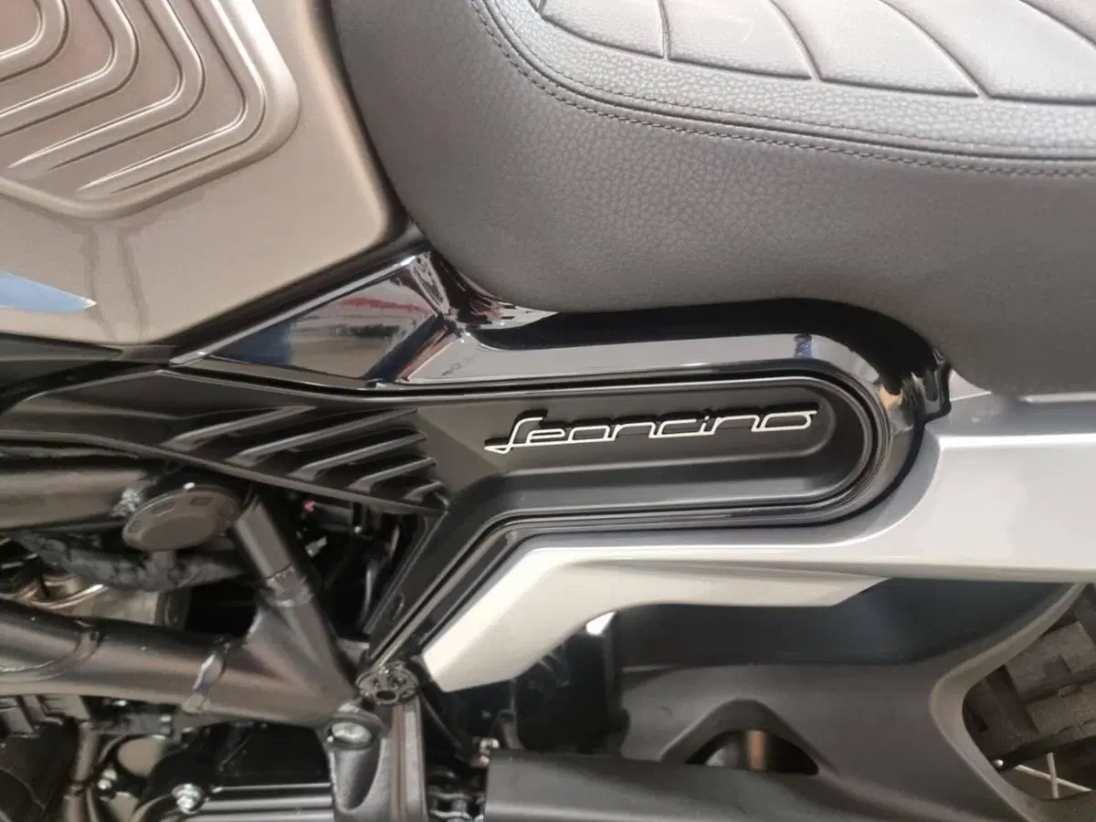 Benelli Leoncino 800 Trail (2022 - 26) (6)