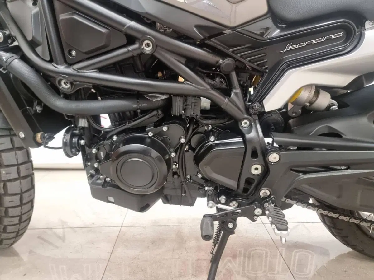 Benelli Leoncino 800 Trail (2022 - 26) (7)