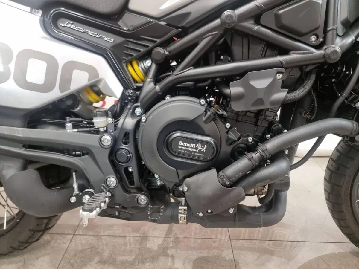 Benelli Leoncino 800 Trail (2022 - 26) (9)