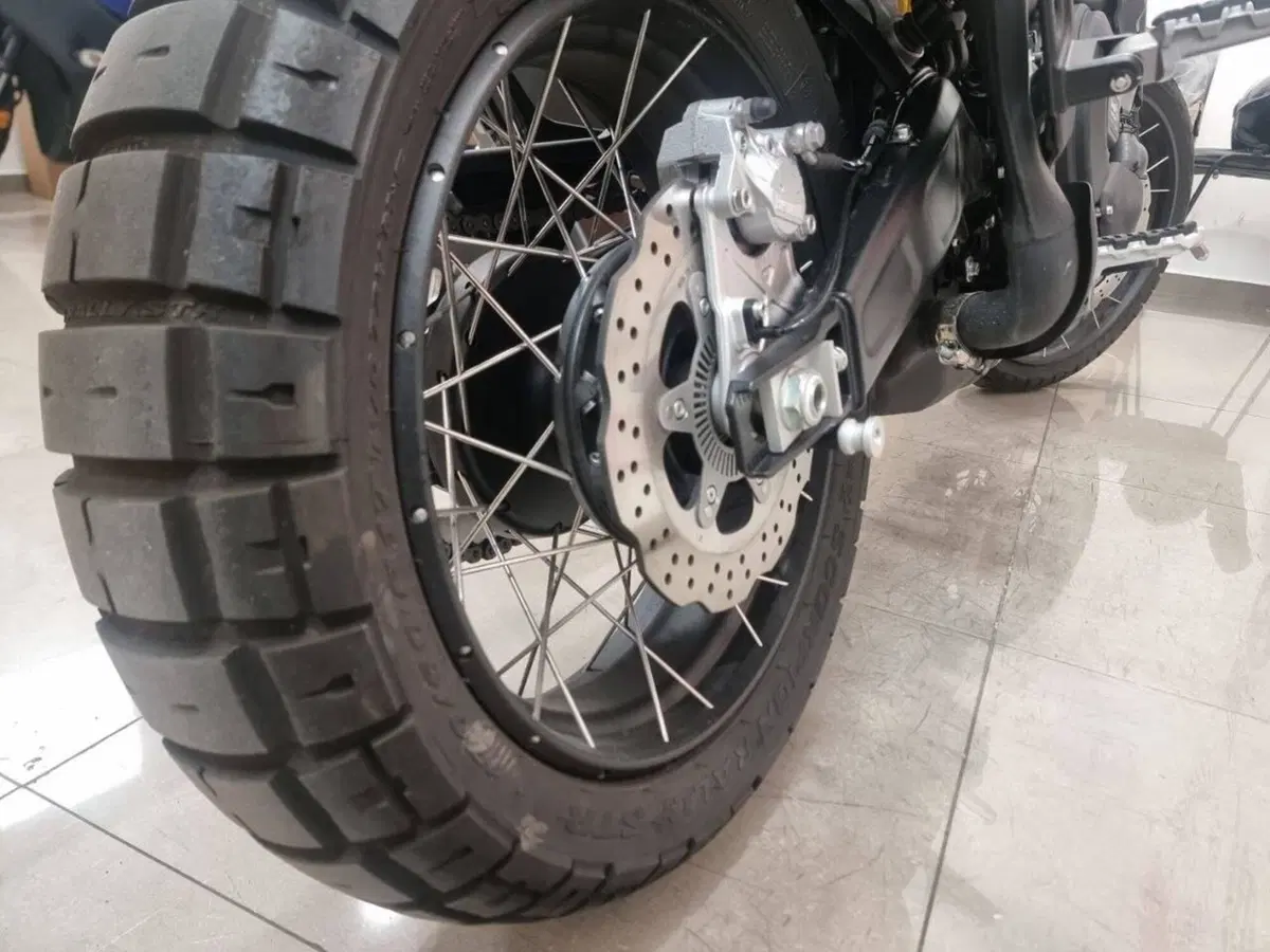 Benelli Leoncino 800 Trail (2022 - 26) (10)
