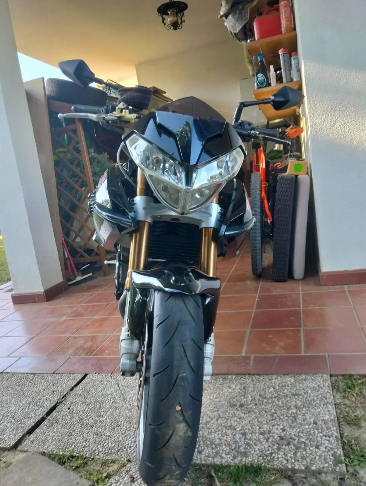 Benelli TNT 1130 (2004 - 08)