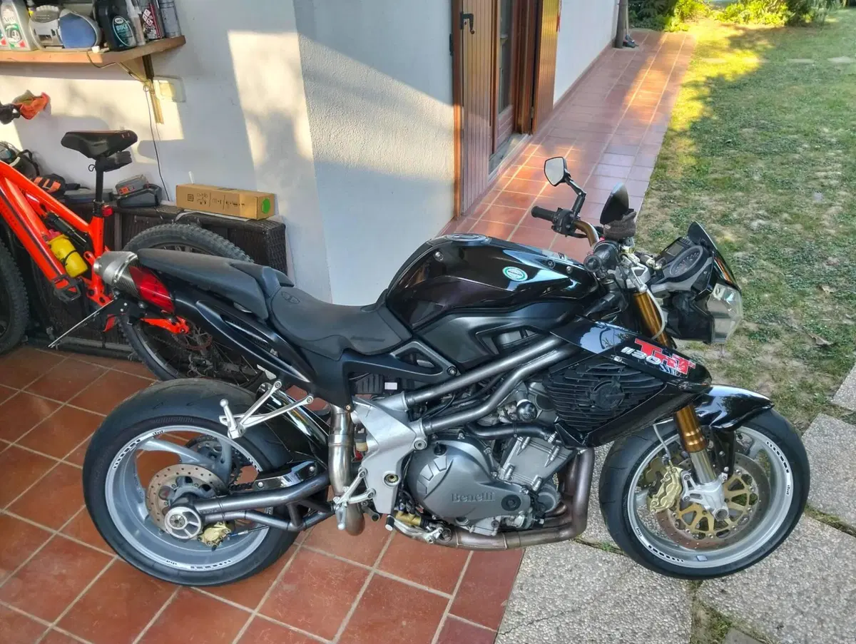 Benelli TNT 1130 (2004 - 08) (3)