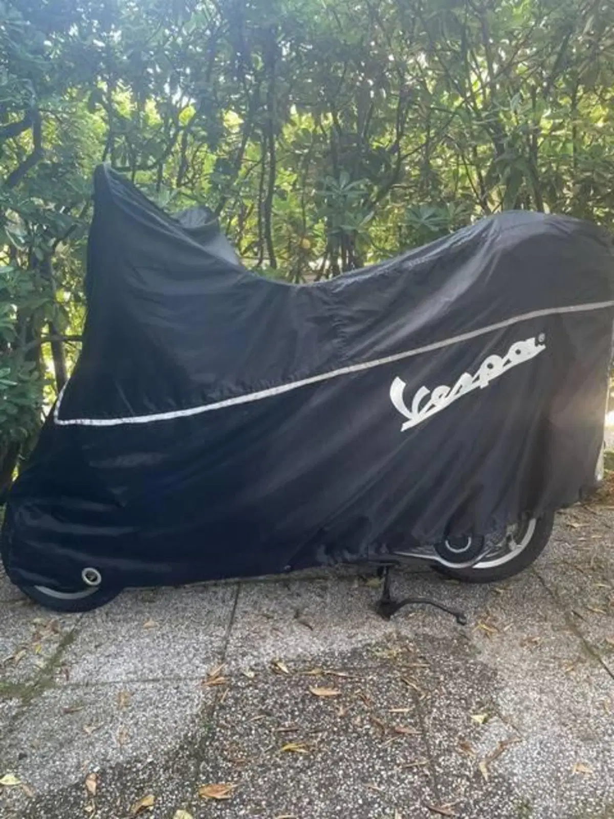 Vespa Primavera Elettrica 45 (2024 - 26) (10)