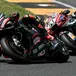 Tecnica MotoGP. Ecco come Aprilia mette dietro Ducati. Cadalora e Bernardelle ci aiutano a capire [VIDEO]