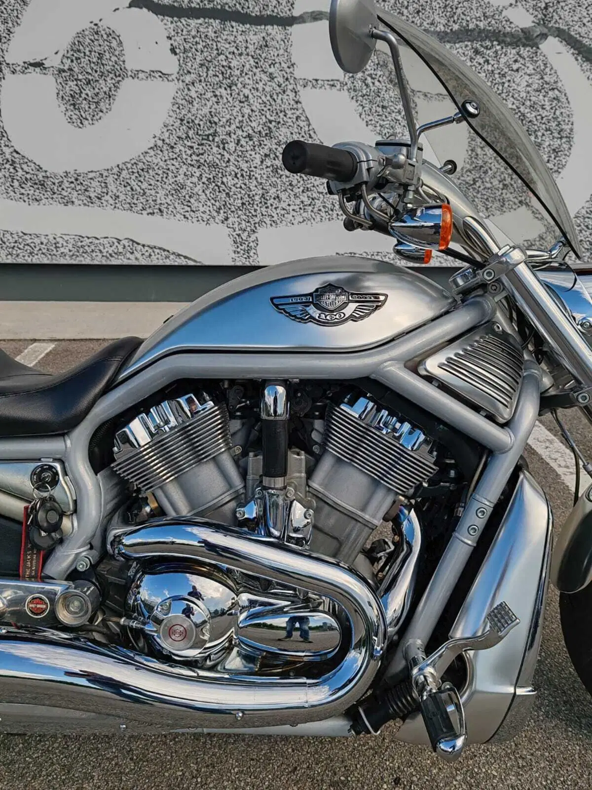 Harley-Davidson 1130 V-Rod (2002 - 05) - VRSCA (6)