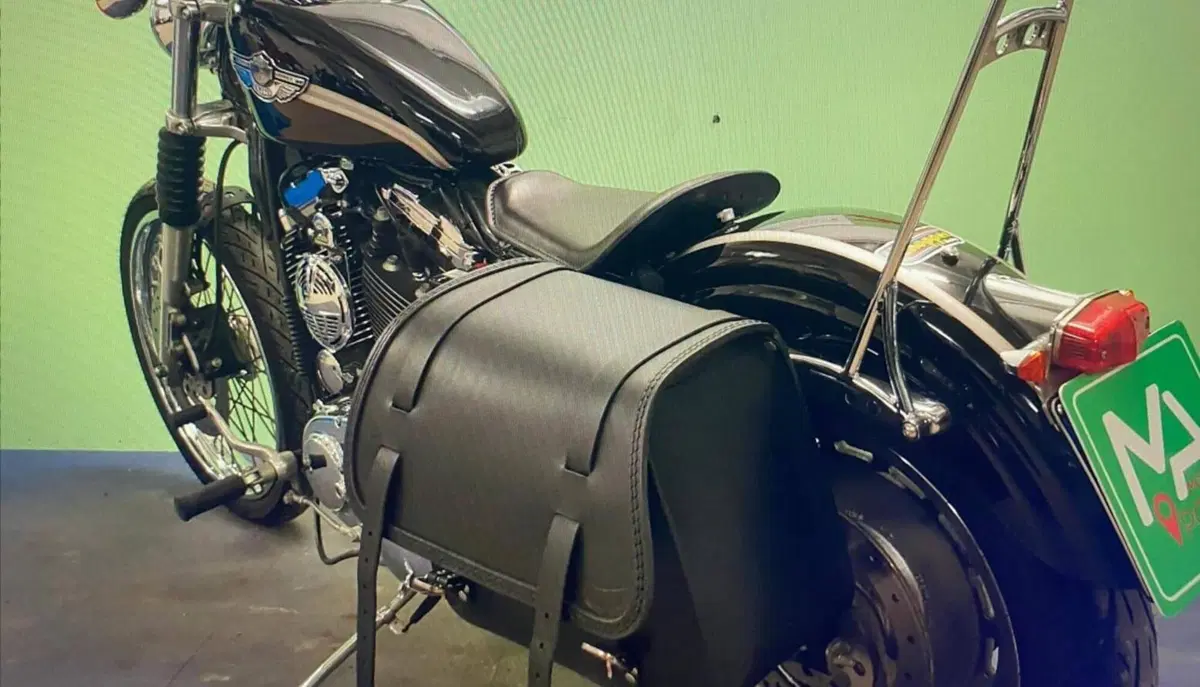 Harley-Davidson 1200 Custom (2001 - 03) - XL 1200C (3)