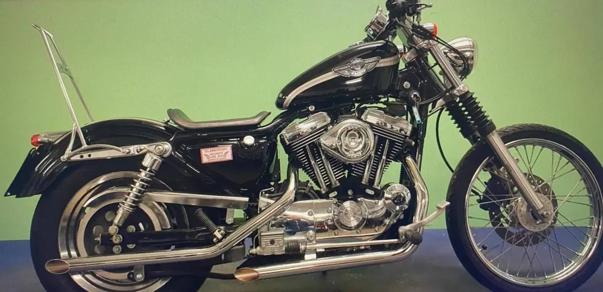 Harley-Davidson 1200 Custom (2001 - 03) - XL 1200C (4)