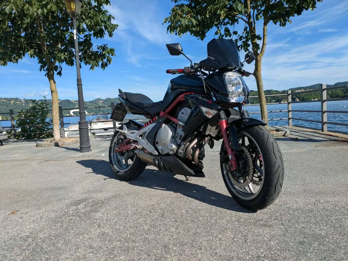 Kawasaki ER-6N (2005 - 08)
