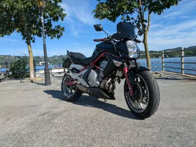Kawasaki ER-6N (2005 - 08) usata