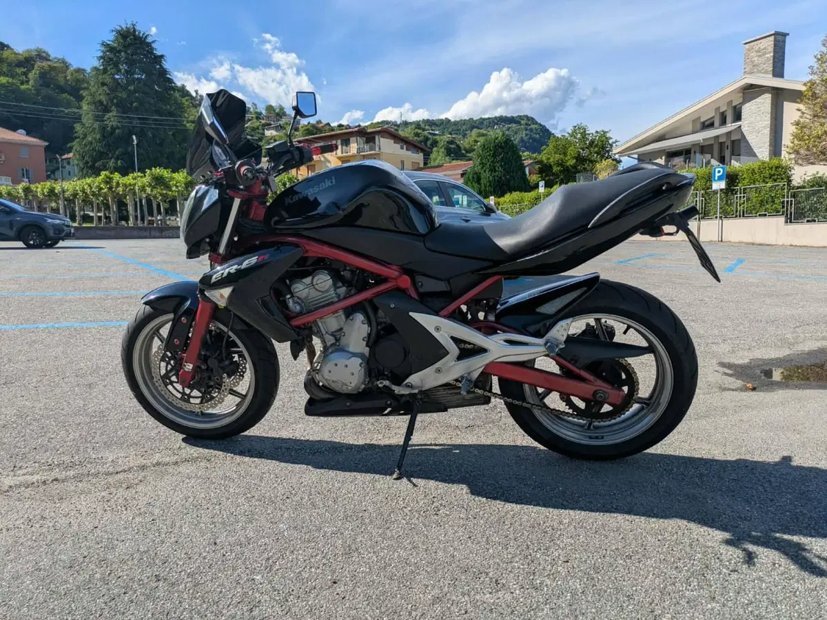 Kawasaki ER-6N (2005 - 08) (6)