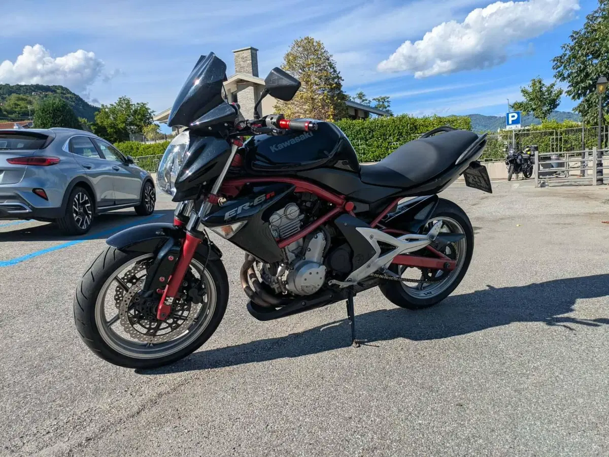 Kawasaki ER-6N (2005 - 08) (11)