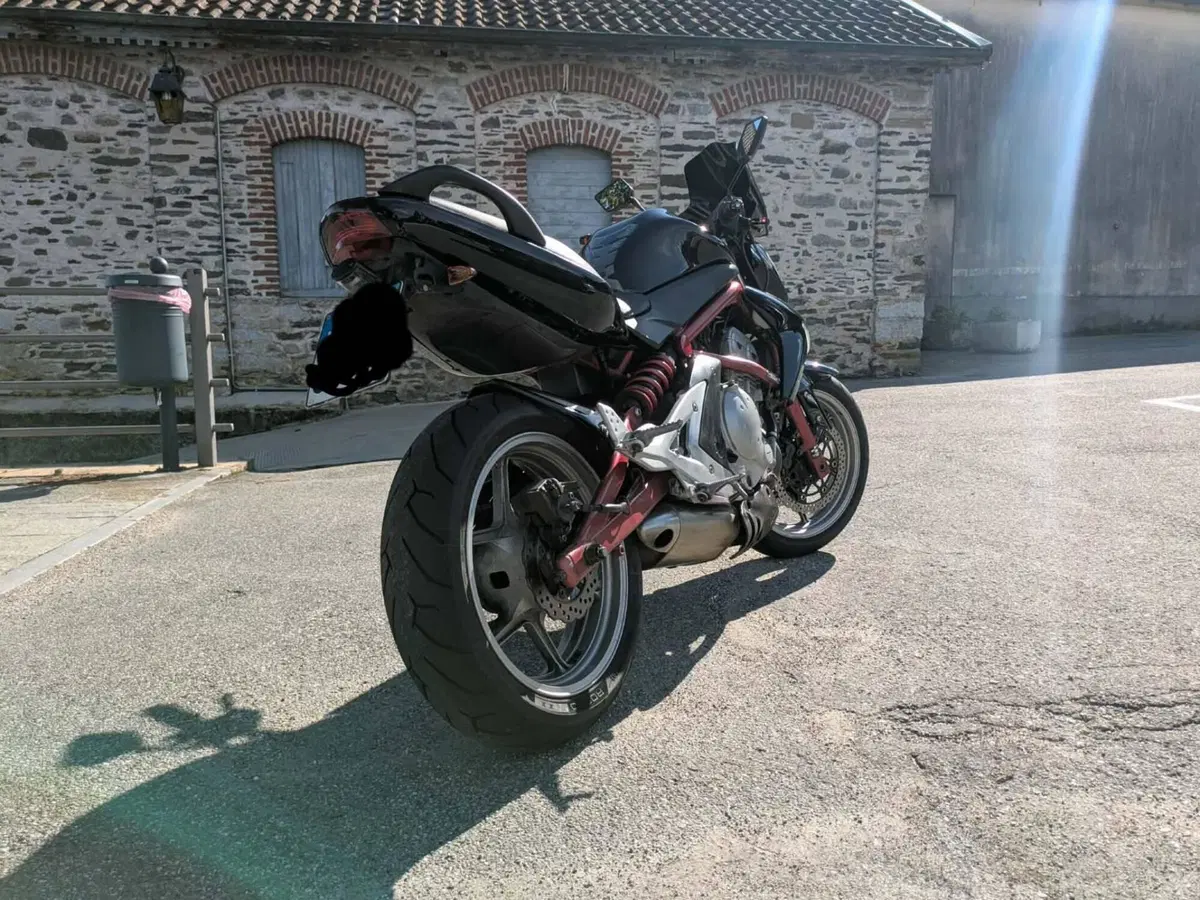 Kawasaki ER-6N (2005 - 08) (4)