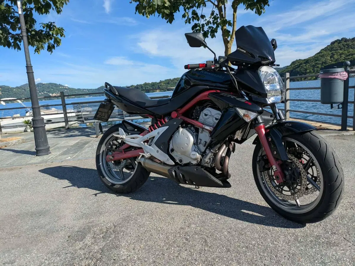 Kawasaki ER-6N (2005 - 08) (17)