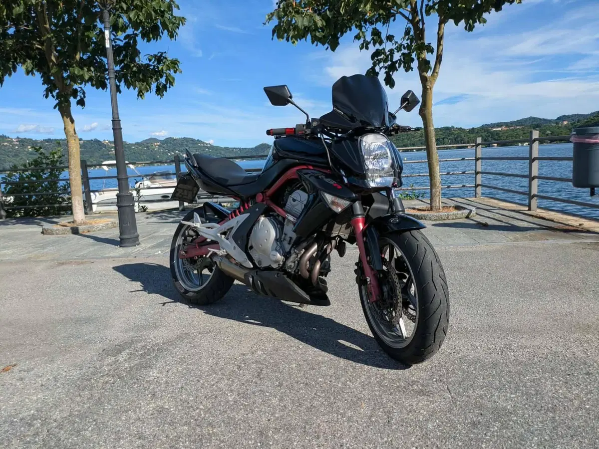 Kawasaki ER-6N (2005 - 08) (12)