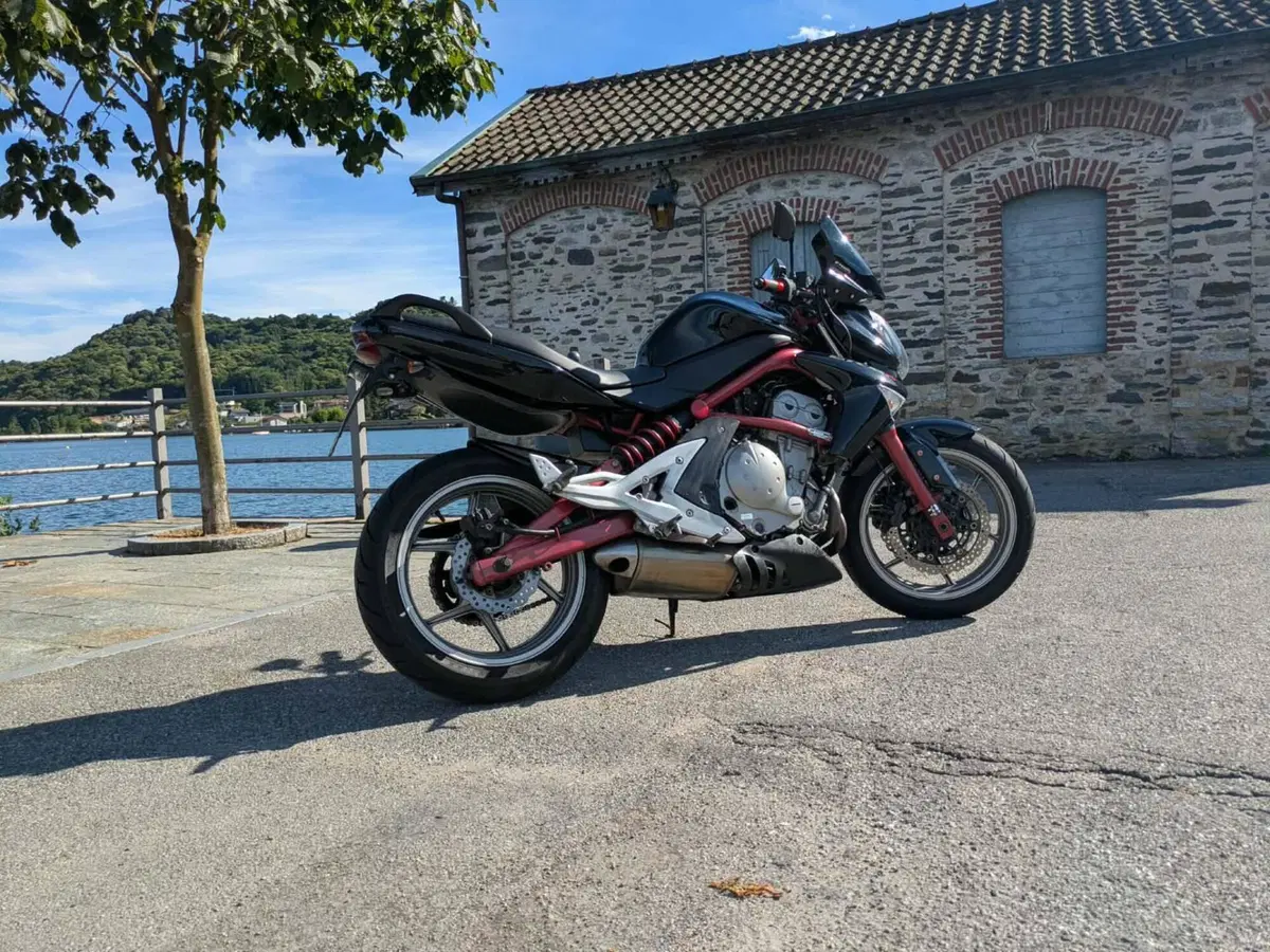 Kawasaki ER-6N (2005 - 08) (8)