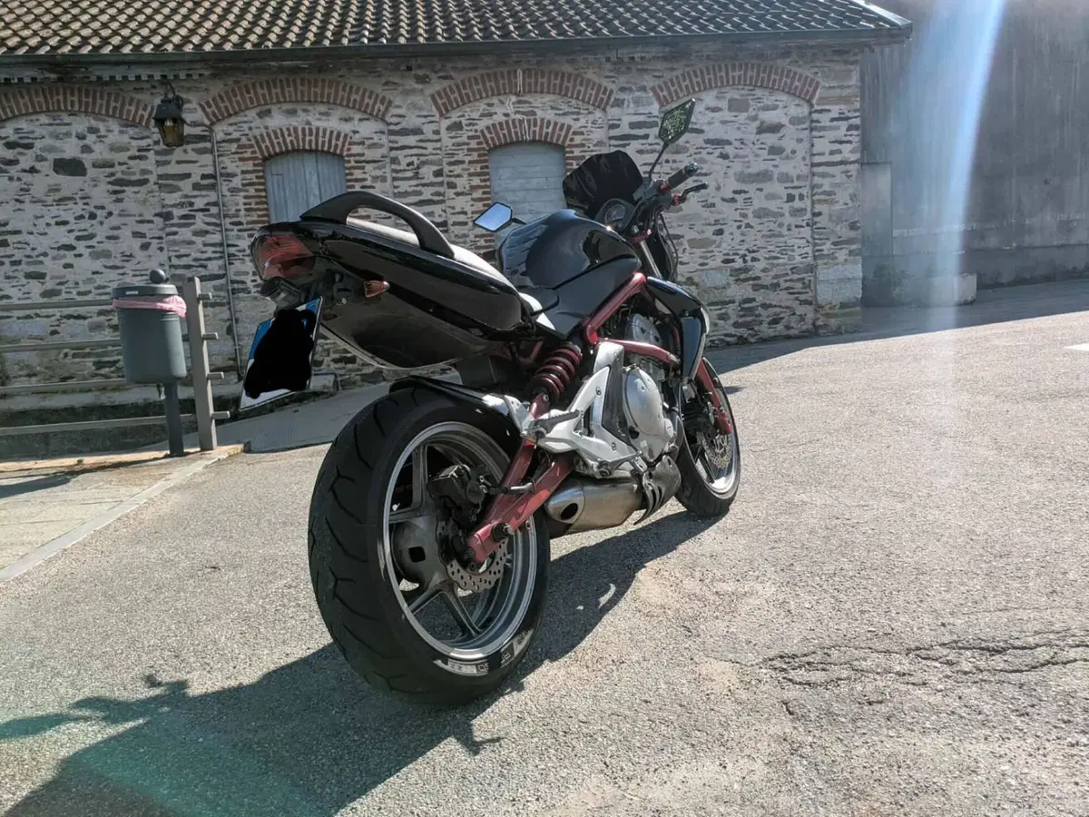 Kawasaki ER-6N (2005 - 08) (18)