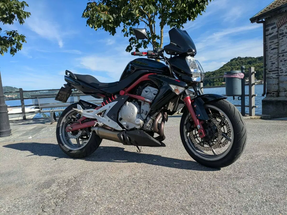 Kawasaki ER-6N (2005 - 08) (13)