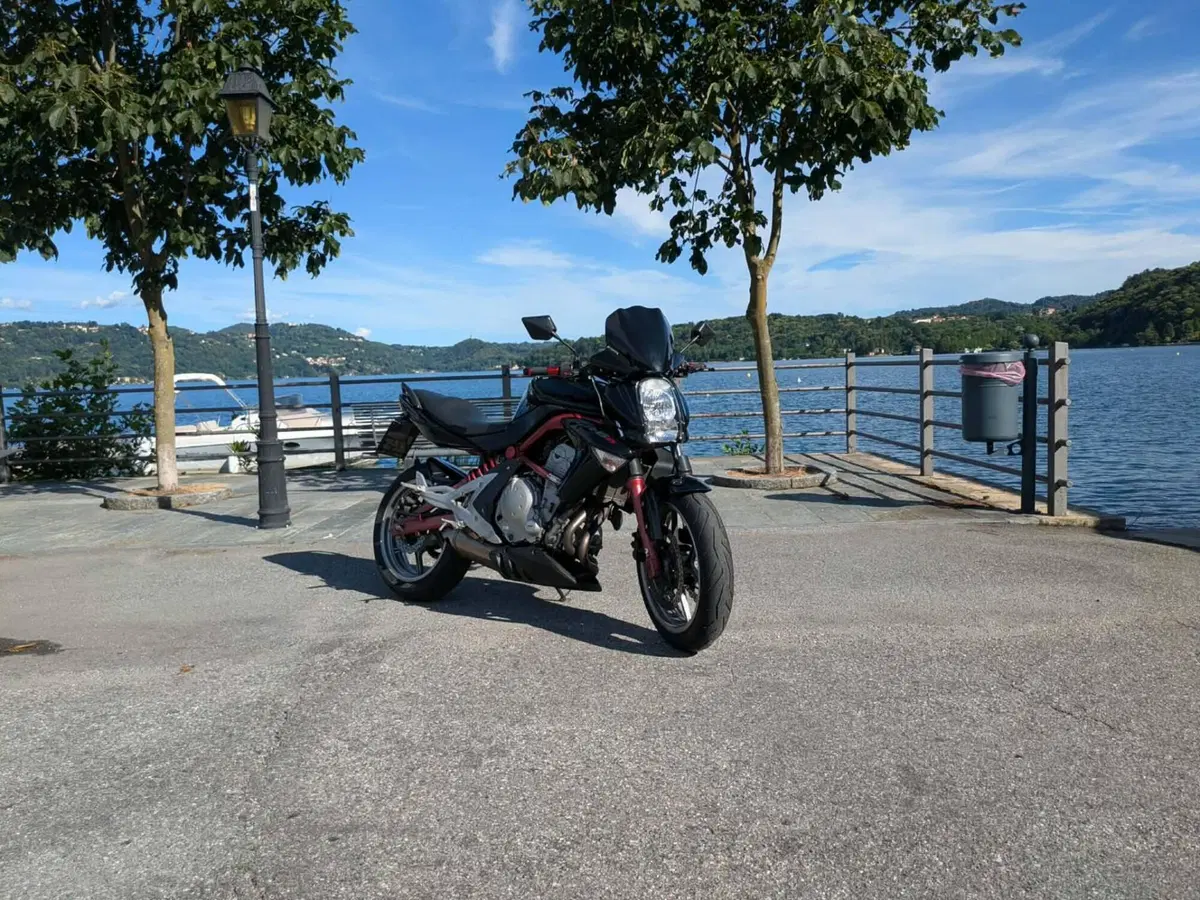 Kawasaki ER-6N (2005 - 08) (19)