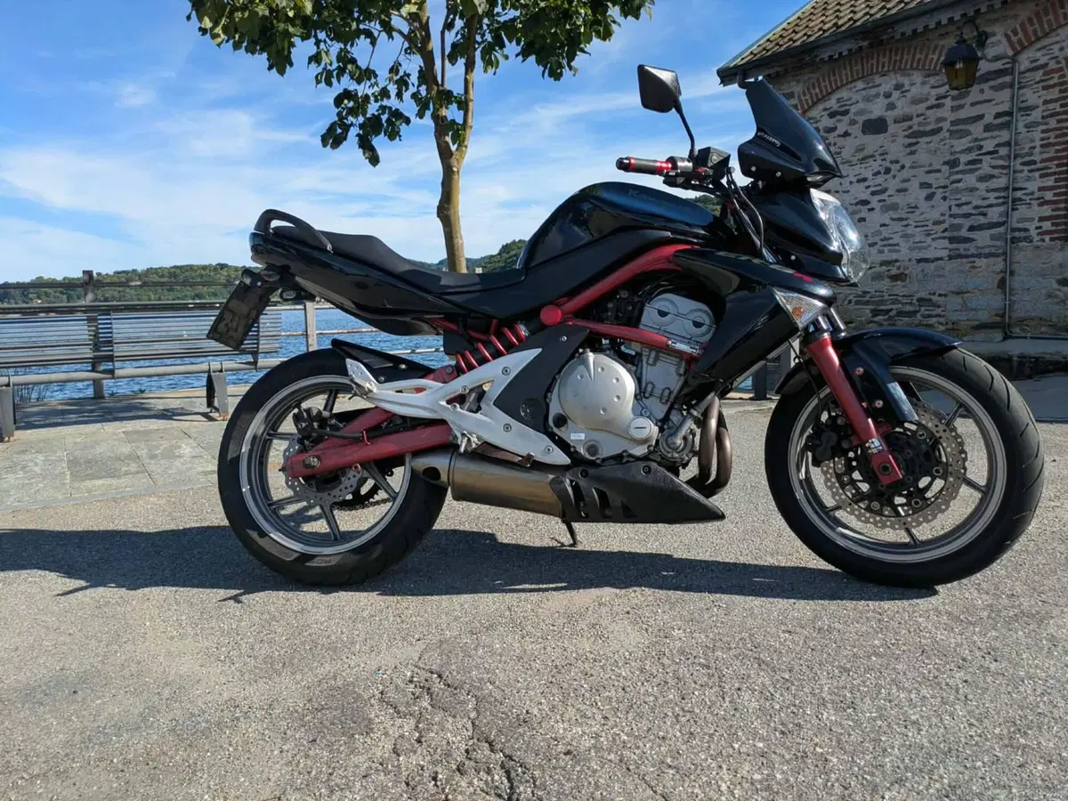 Kawasaki ER-6N (2005 - 08) (10)
