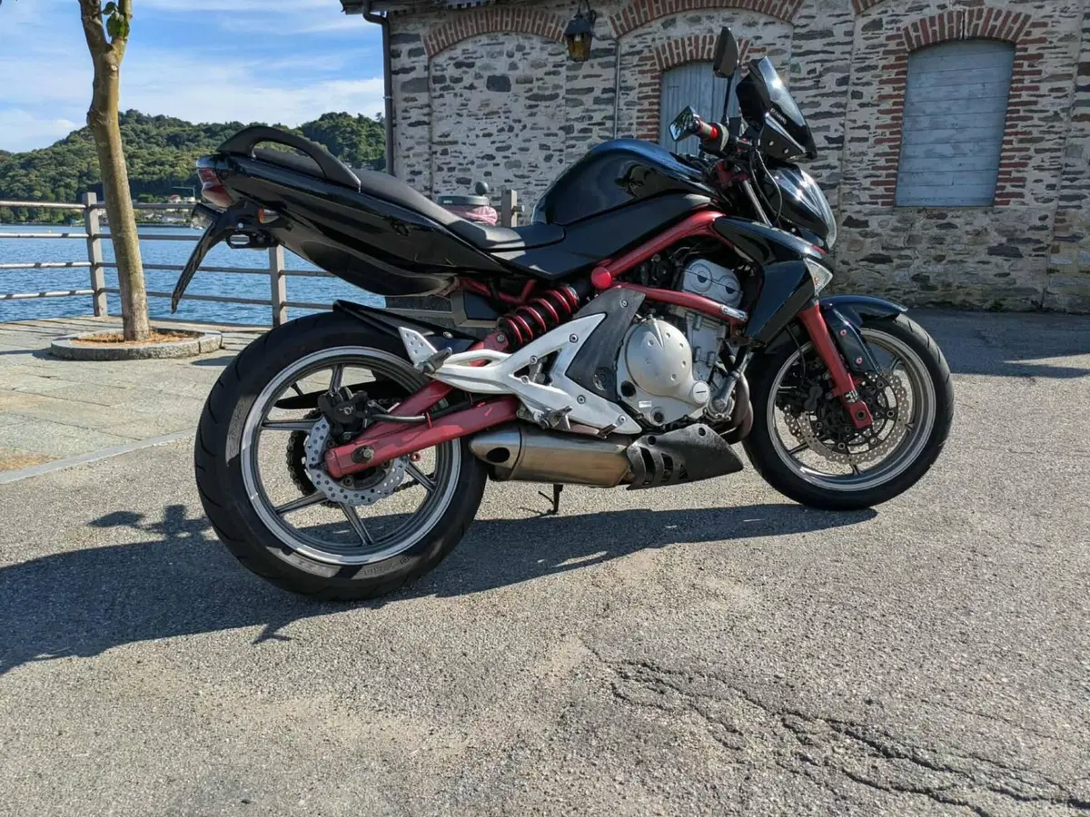 Kawasaki ER-6N (2005 - 08) (9)