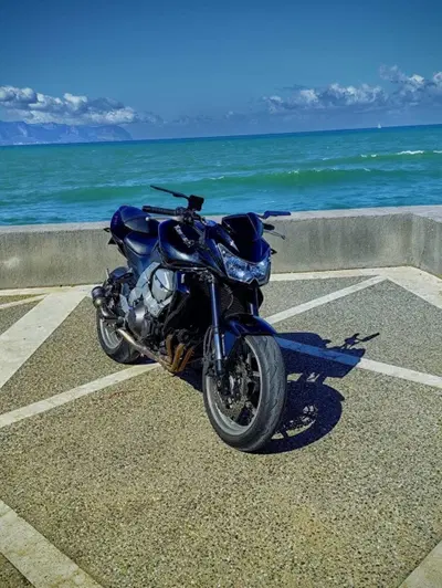 Kawasaki Z 750 (2007 - 14) usata