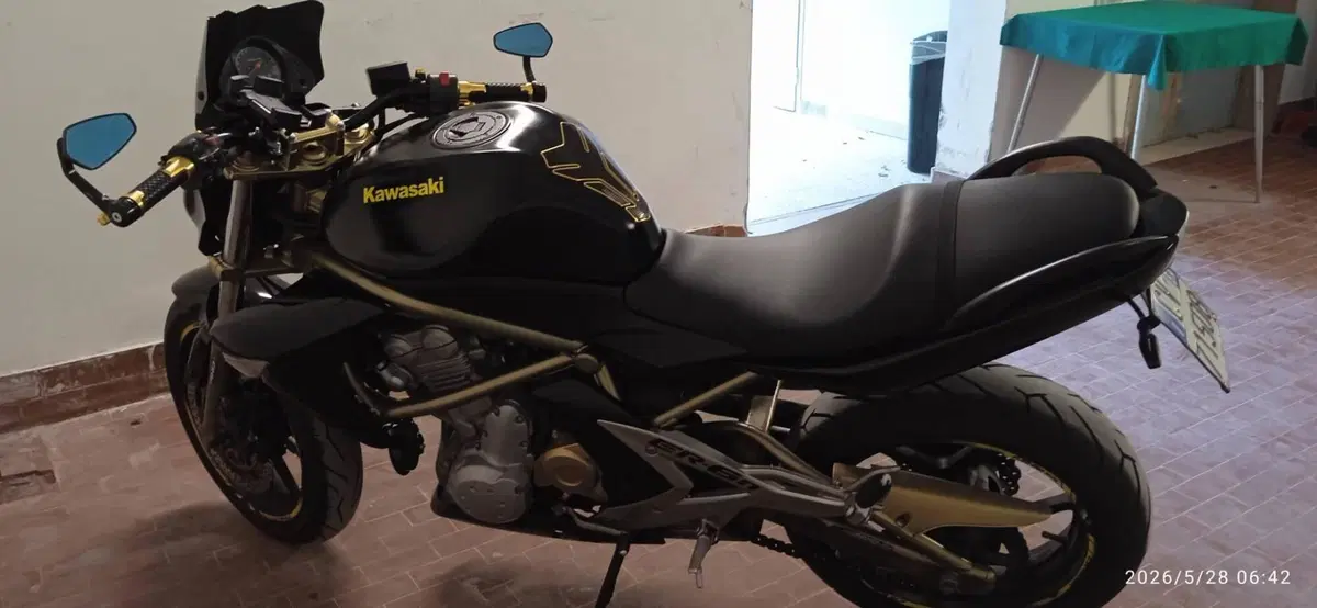Kawasaki ER-6N (2006 - 09) (2)