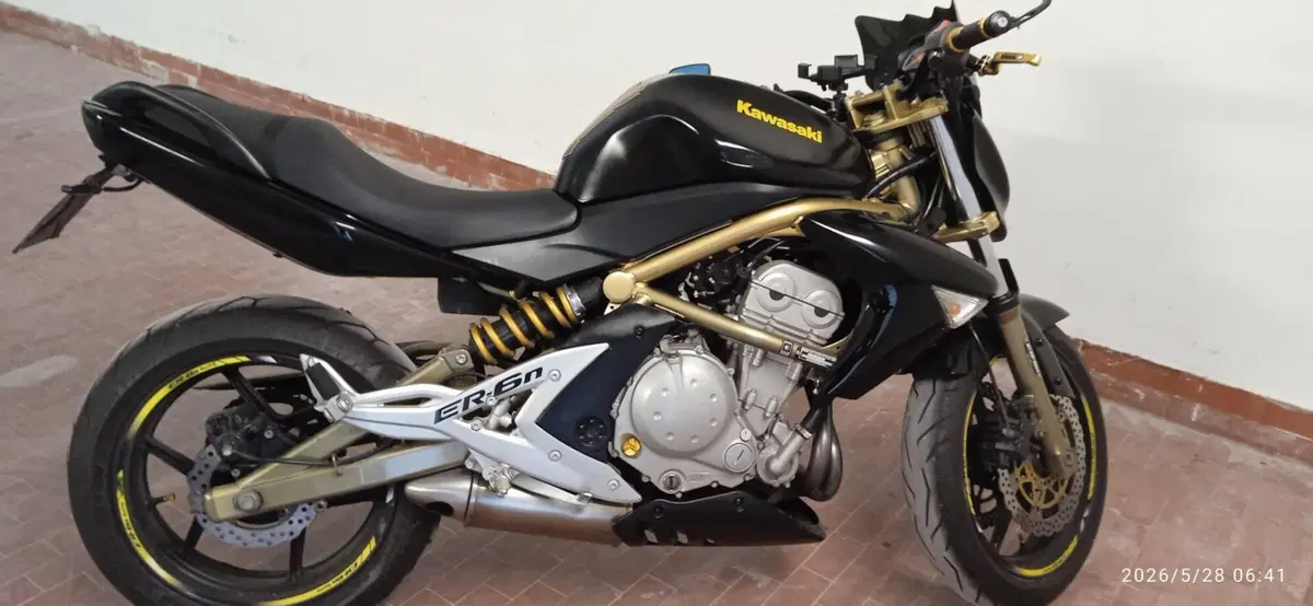 Kawasaki ER-6N (2006 - 09) (4)