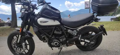 Ducati Scrambler 800 Icon Dark (2021 - 22) usata