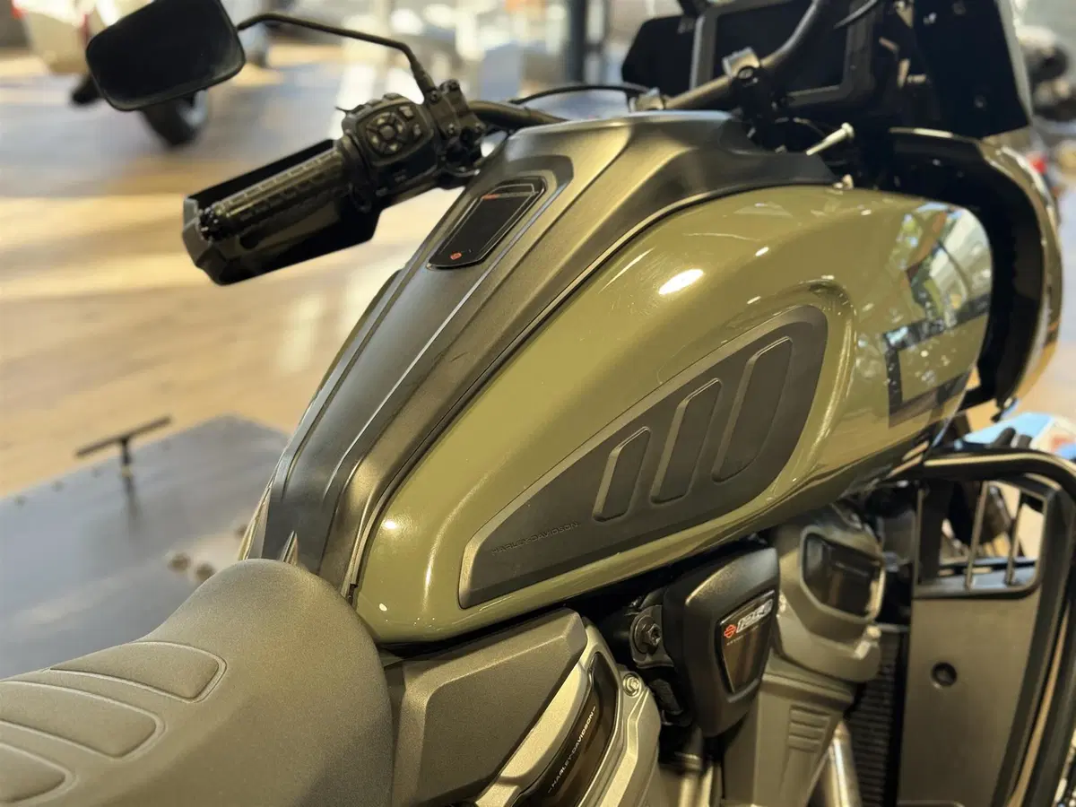 Harley-Davidson Pan America 1250 Special (2020 - 25) (3)